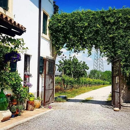 Corte Le Vigne Bed & Breakfast Verona Exterior photo